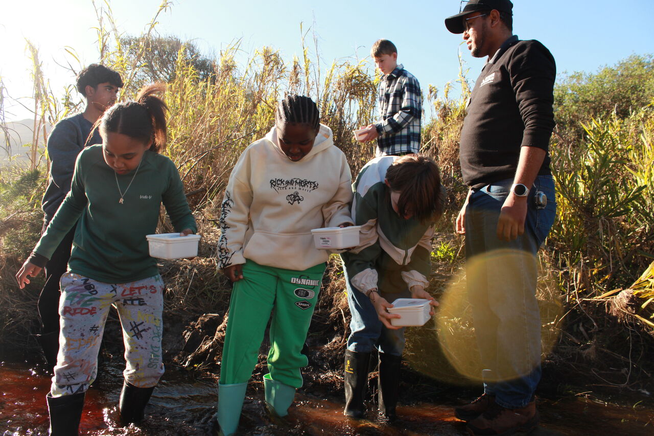 54039566676 f052a062fe o