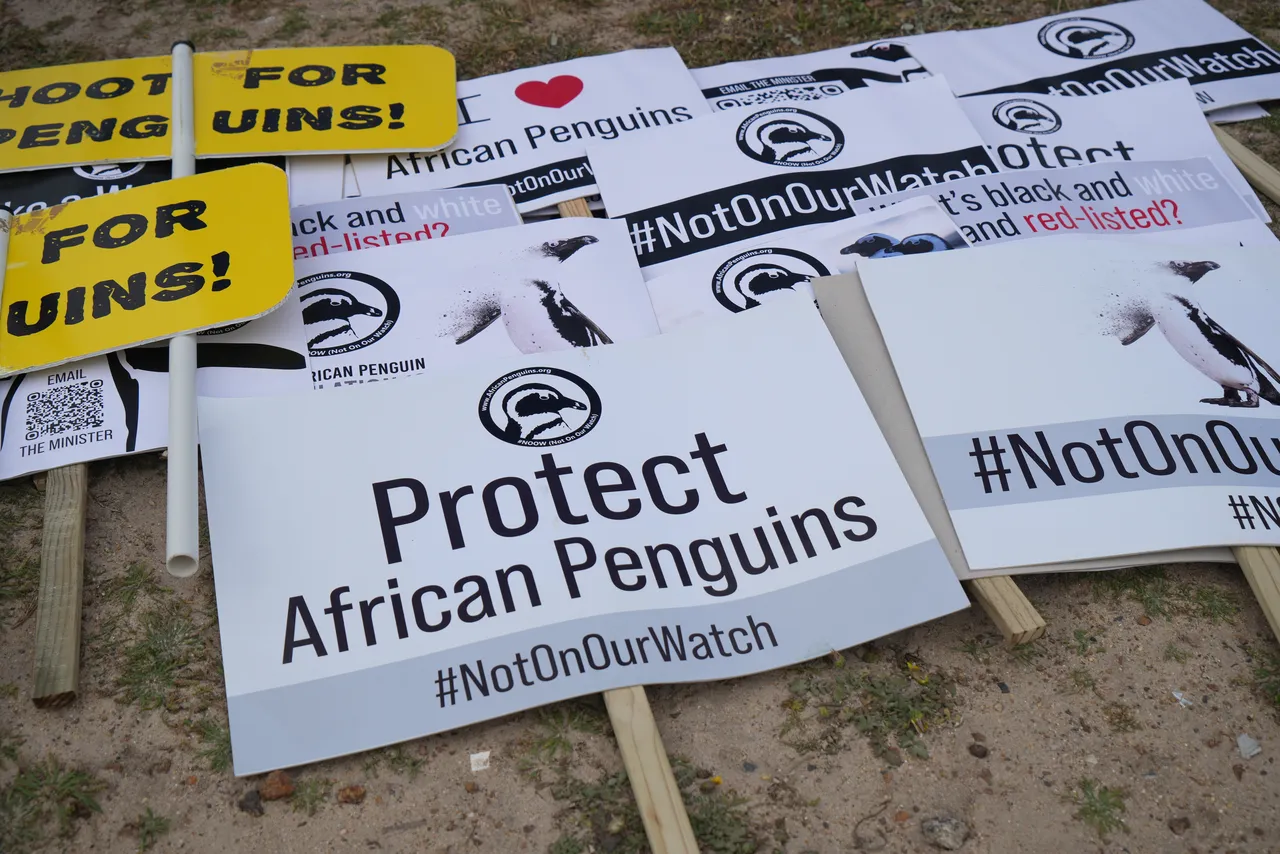 Posters for the penguin-supporters!