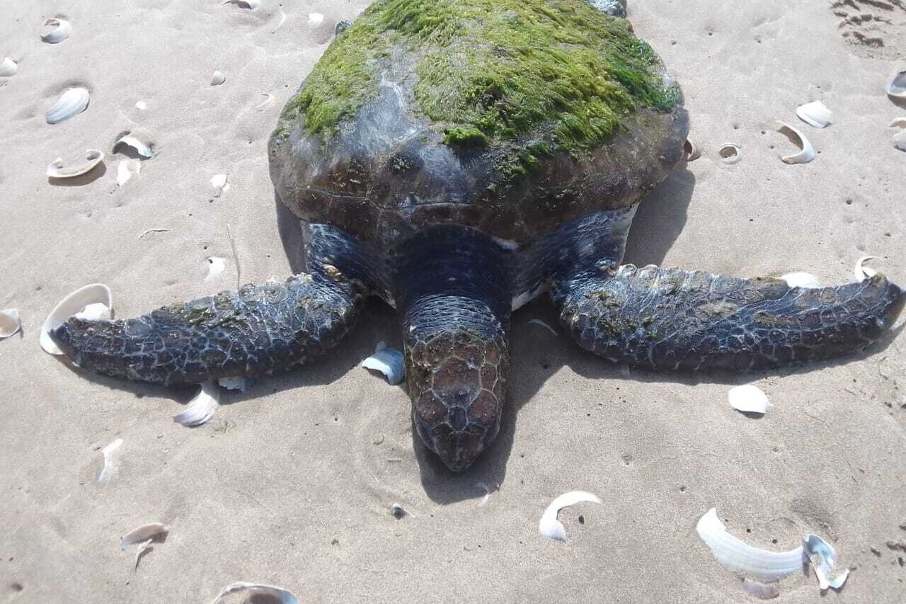 1579c31d 014e 4ffa b586 2007e77226f0