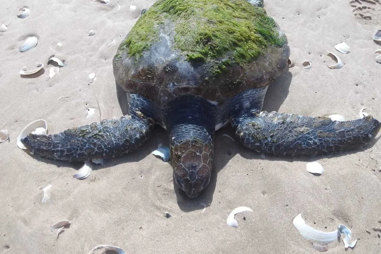 1579c31d 014e 4ffa b586 2007e77226f0