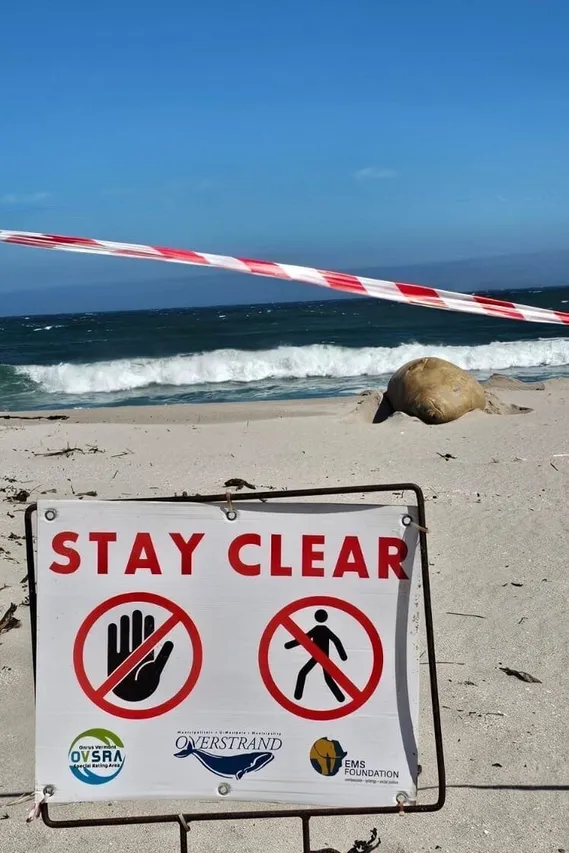 628a8f50 0512 482c a3d4 b0d46373fb40