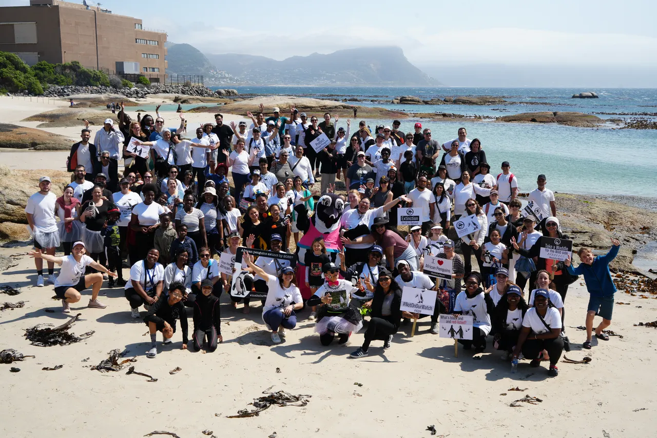 The Two Oceans Aquarium family waddled for the African penguin