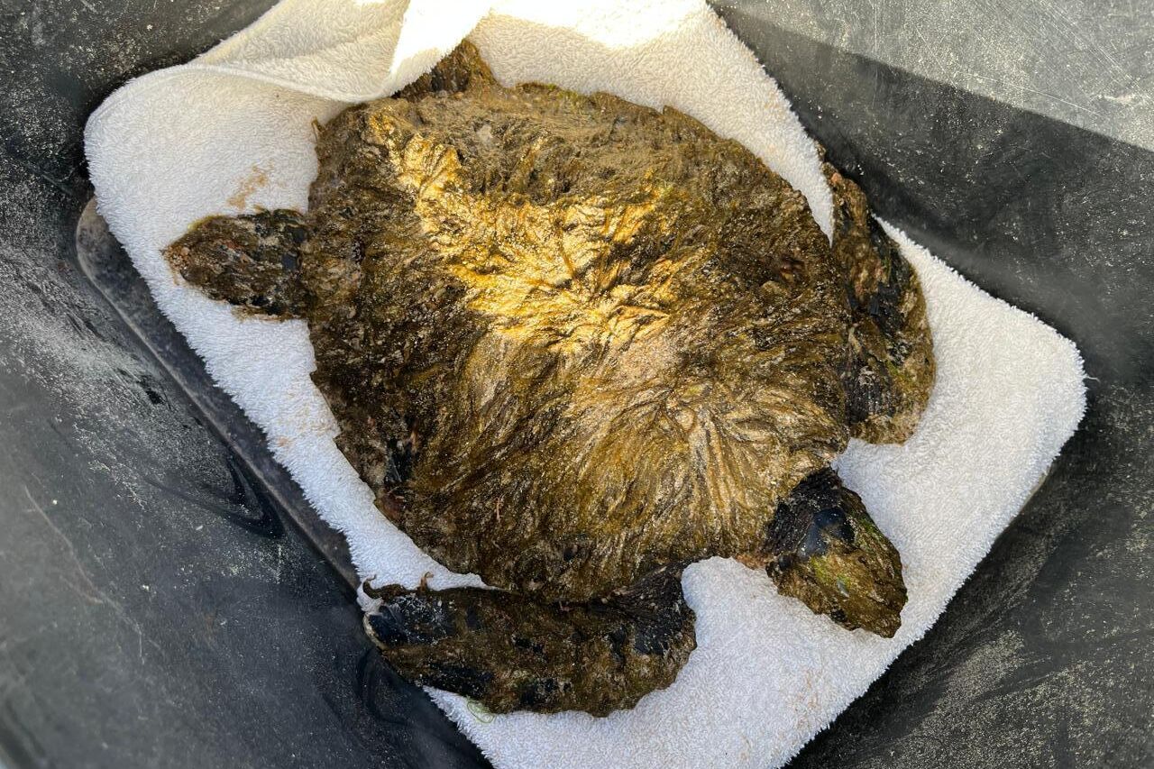 27317b25 ac5d 4fad 815c 4b7a5d05779d