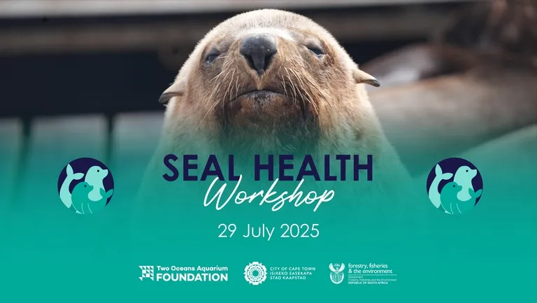 Marine Wildlife Management Programme