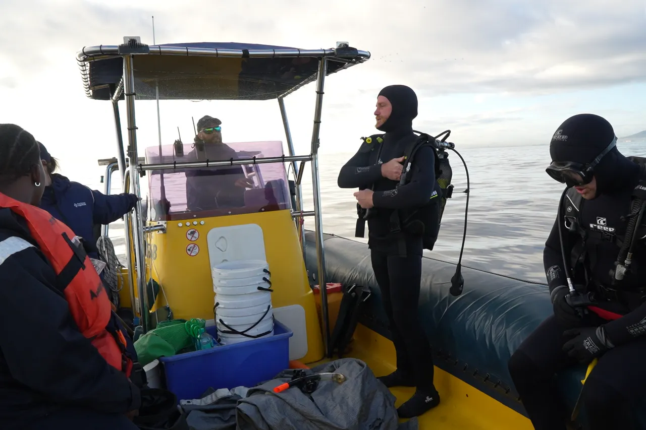 Screenshot 2025 10 21 104604