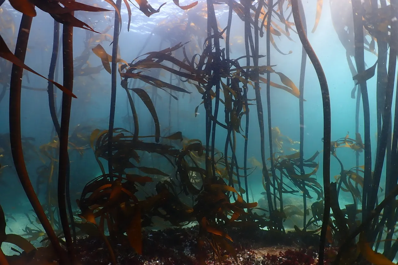 20241012 133751000 i OS