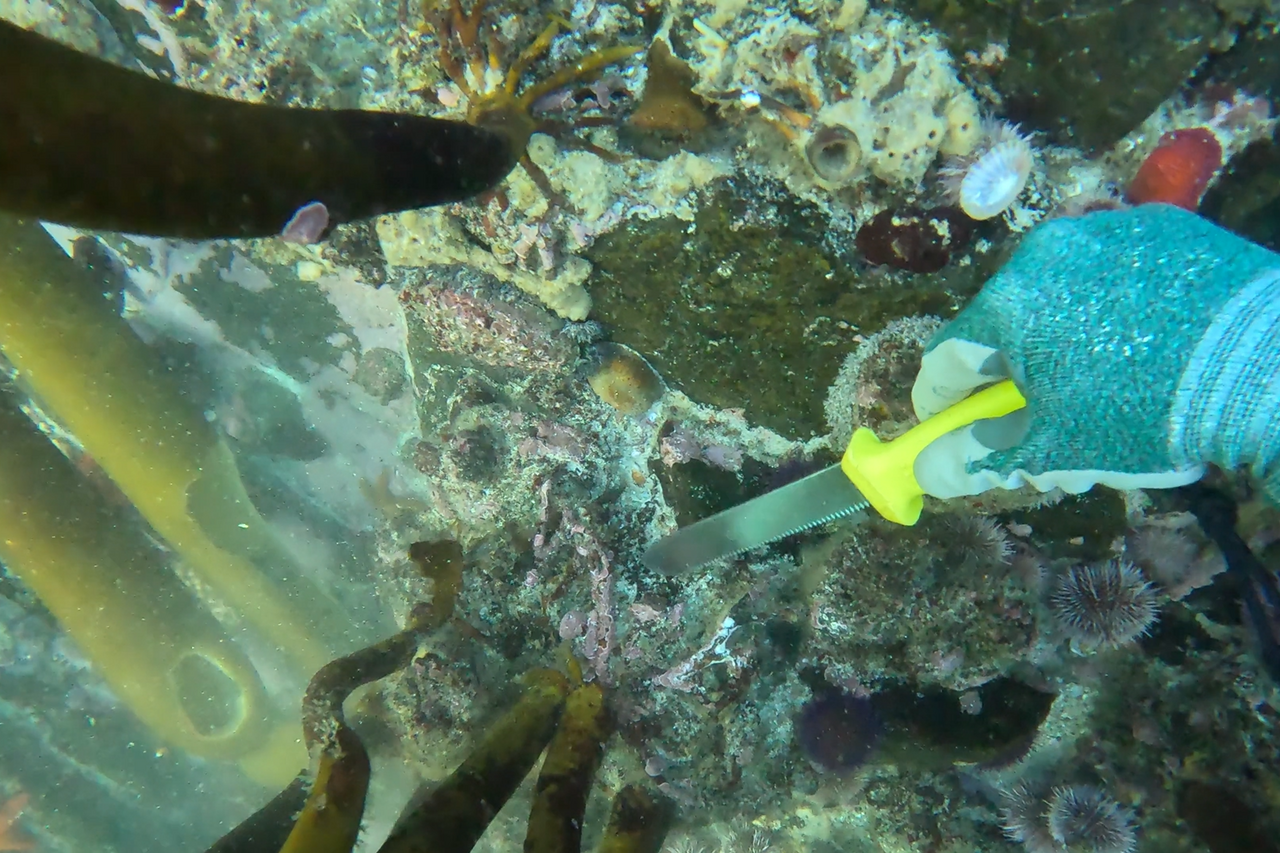 Screenshot 2025 10 21 105337