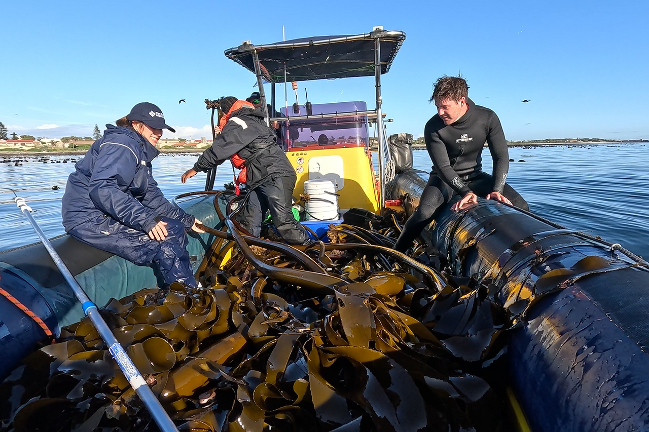 Screenshot 2025 10 21 105857