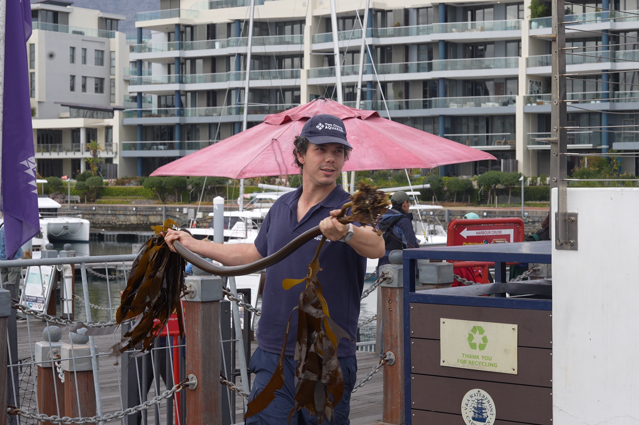 Screenshot 2025 10 21 104958