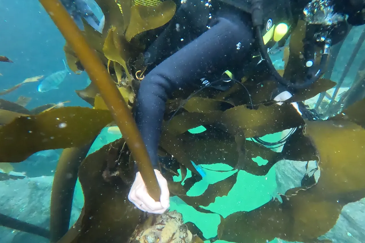 Screenshot 2025 10 21 110259