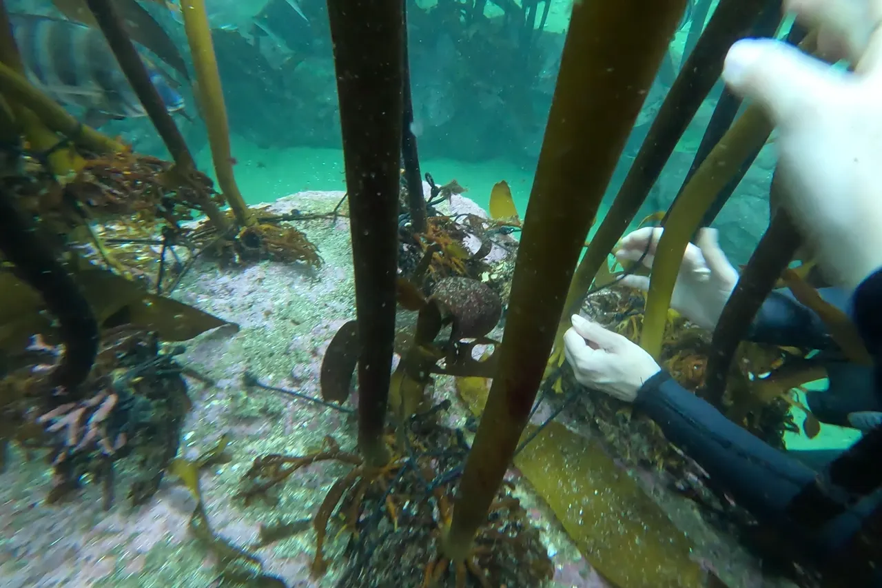 Screenshot 2025 10 21 105946