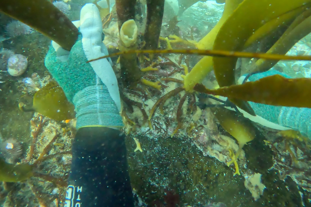 Screenshot 2025 10 21 105651