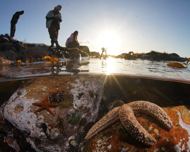 Marine Protected Areas: Our position statement
