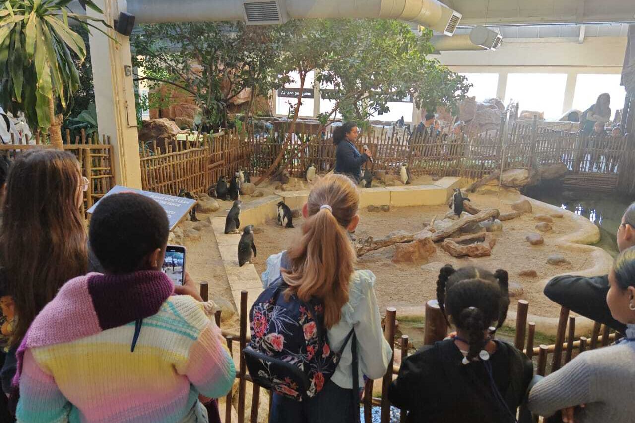 54901258451 2785665db4 o