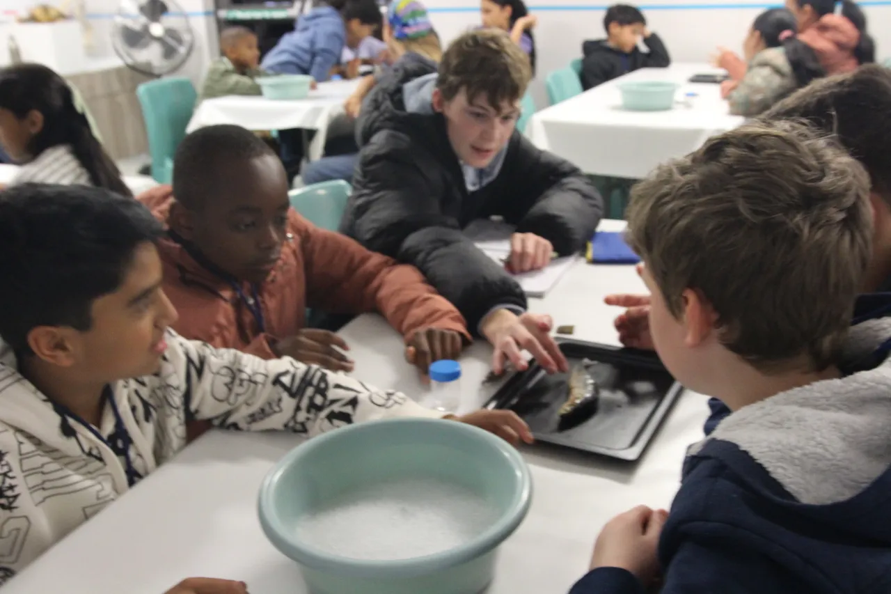 54901259181 72d8eb9a20 o