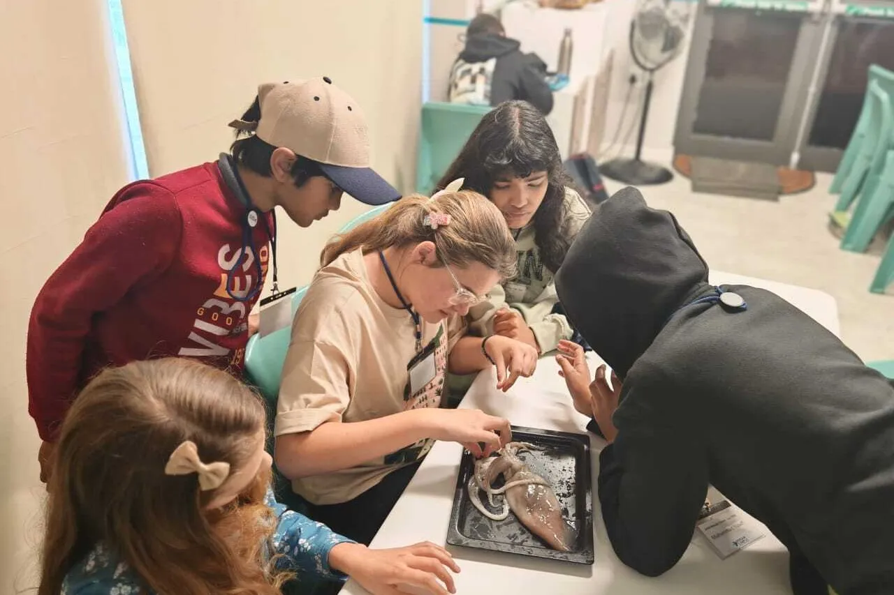 54901509359 b45cbc2115 o