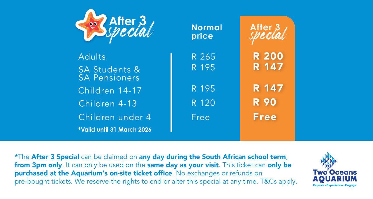AFTER3 SPECIAL SOCIALS TOA 2025 RECTANGLEUPDATE