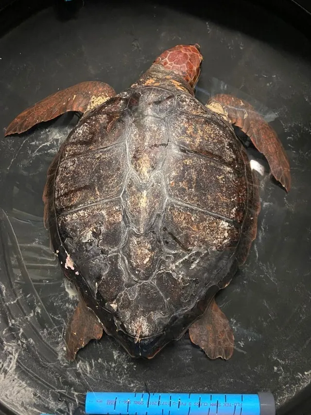 20210713 171758000 i OS