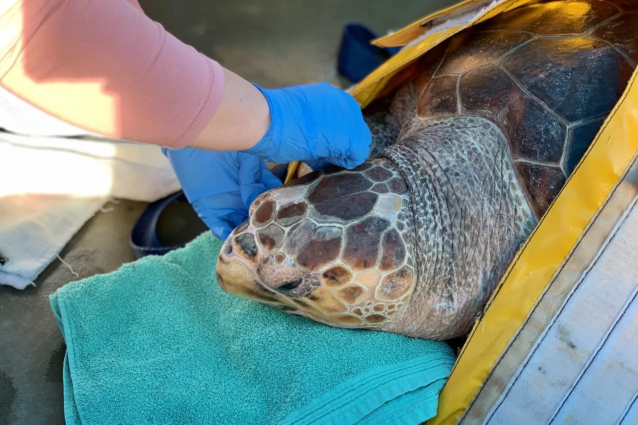 7 C8 D7 F90 6 F62 45 E2 9458 7 E6 D4721 DD68