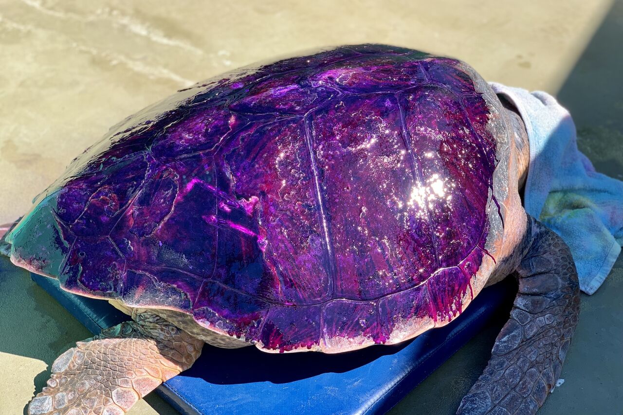 0 F8 E85 F1 E63 C 4586 9 FFA EBDD0 BC3 BD42