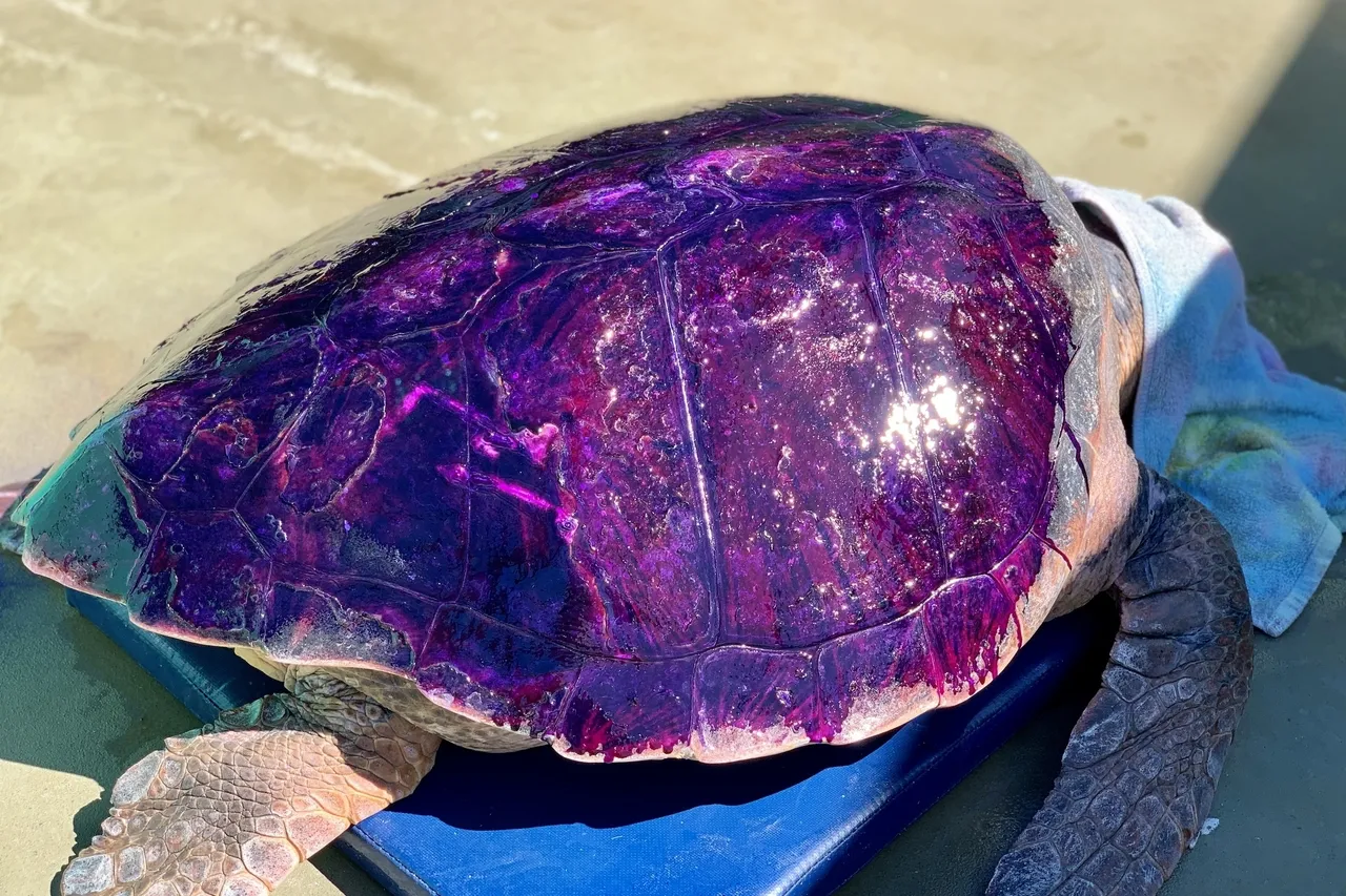 0 F8 E85 F1 E63 C 4586 9 FFA EBDD0 BC3 BD42