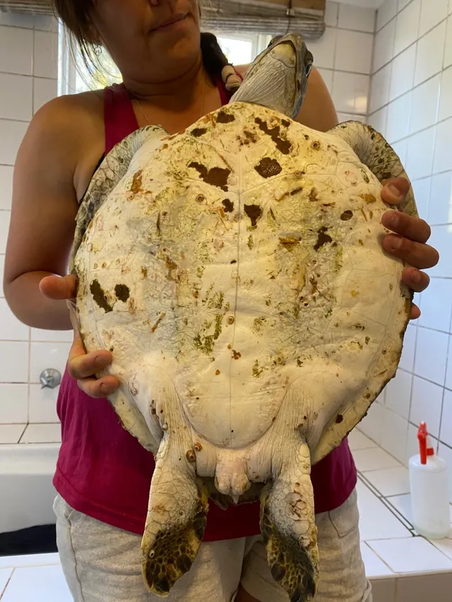 3d037186 46af 41c7 877e f8e100006f09 2