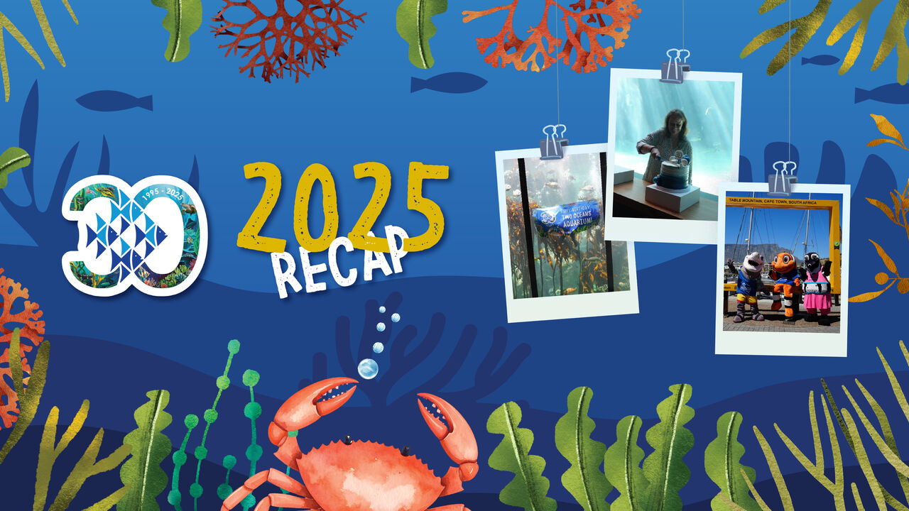 Looking back at 2024: