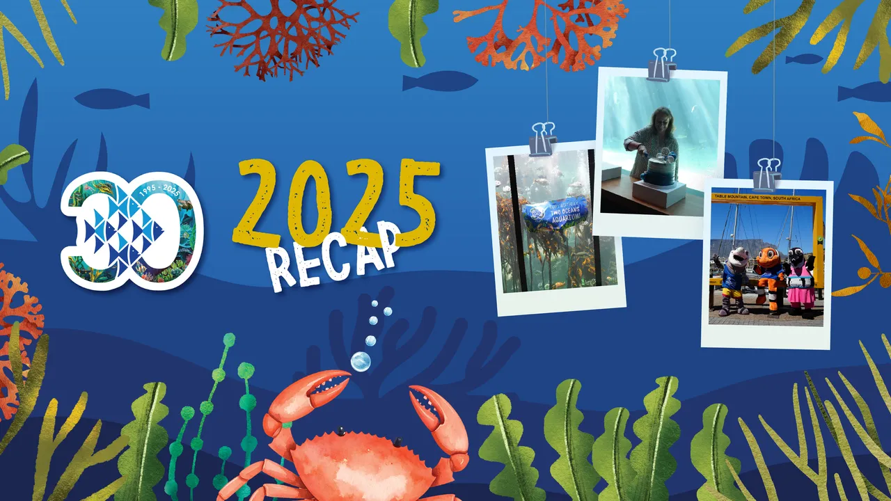 Looking back at 2024: