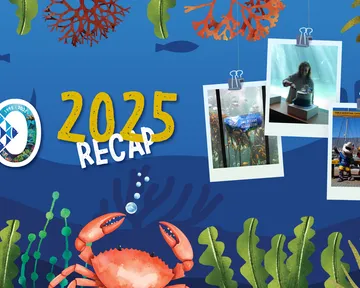 Looking back at 2024: