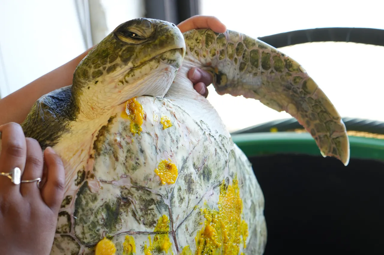 DSC09995 2025 12 03 192617 yvbh