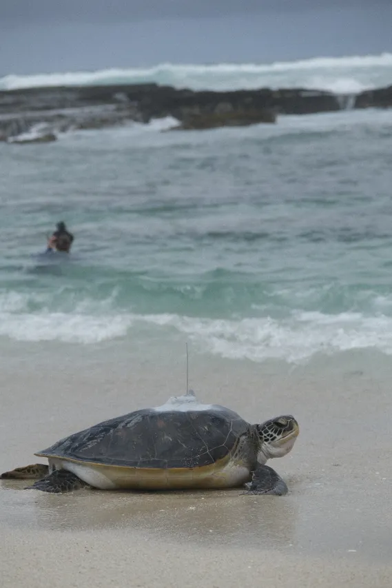 TCC release November 2025 DSF5001 c Kelli Whitehead