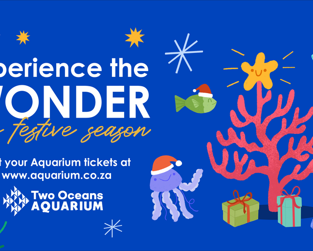 Experience the wonder this festive season at the Two Oceans Aquarium
