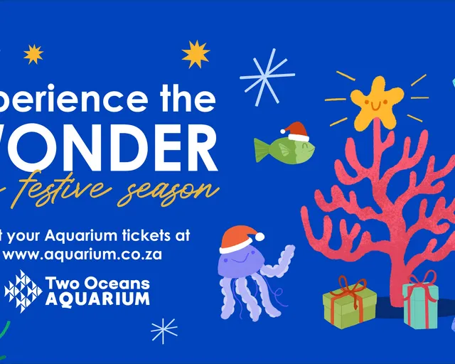 Experience the wonder this festive season at the Two Oceans Aquarium