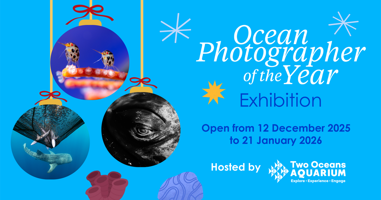 ETW Festive Season FB5