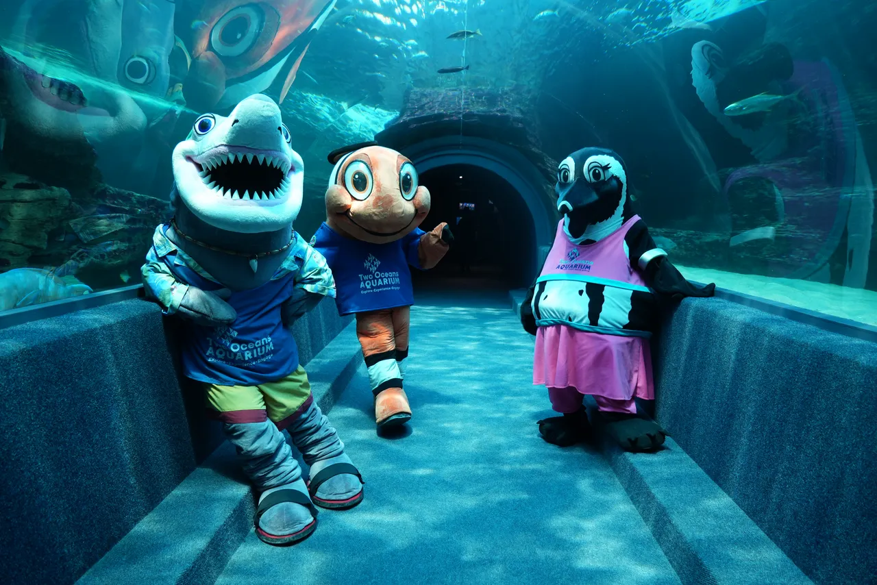 Celebrating 30 years of wonder with reflection and new beginnings at the Two Oceans Aquarium