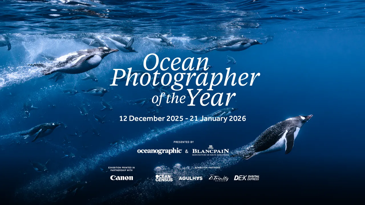 An African first - Ocean Photographer of the Year 2025 at the Two Oceans Aquarium