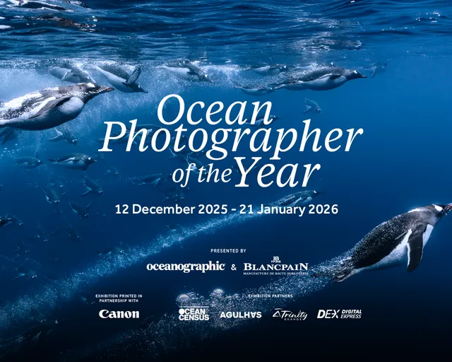 An African first - Ocean Photographer of the Year 2025 at the Two Oceans Aquarium