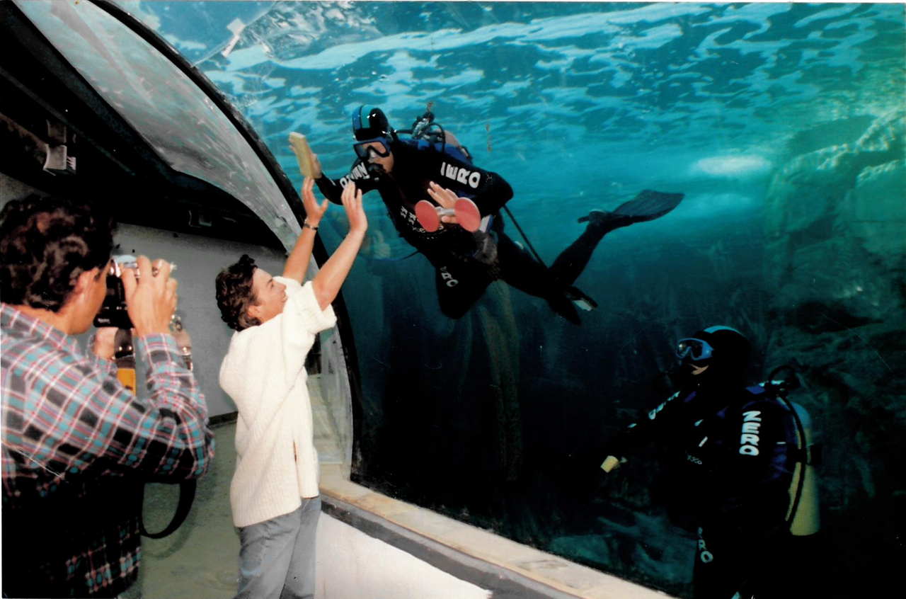 Screenshot 2025 12 13 at 17 11 07