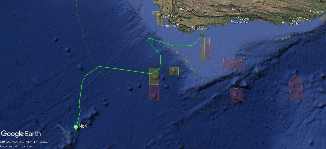 Tracking our turtles: Nori's first satellite tracking update