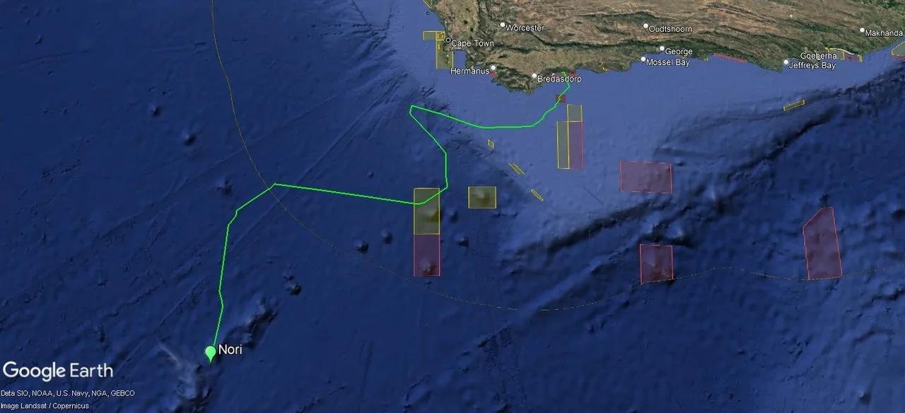 Tracking our turtles: Nori's first satellite tracking update