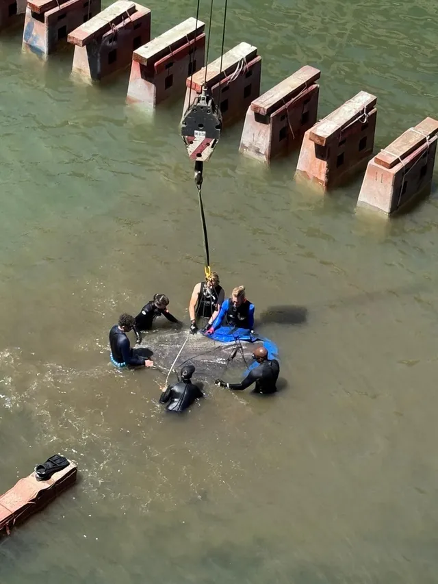 4e457ace 1fd5 49b2 9386 c882bfd81df8