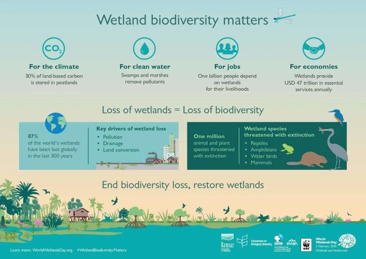 Celebrating the importance of wetlands on World Wetlands Day