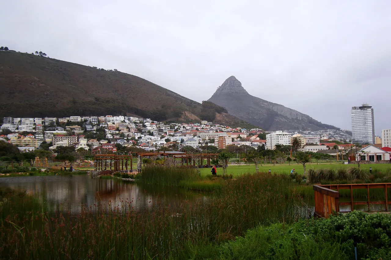 Green Point Urban Park Image warrenski