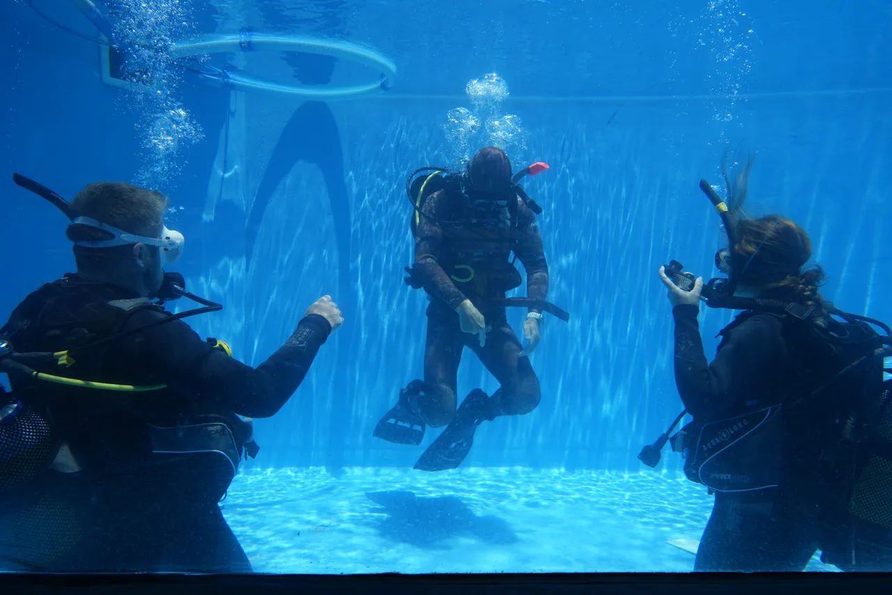 What’s it like to do a PADI Open Water scuba diving course at the Aquarium?
