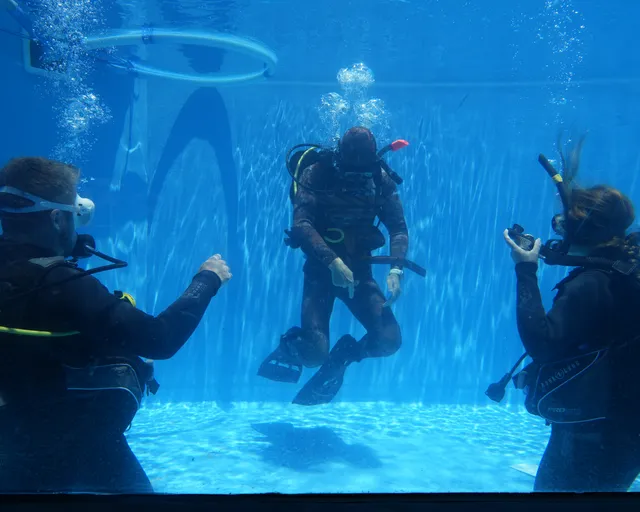 What’s it like to do a PADI Open Water scuba diving course at the Aquarium?