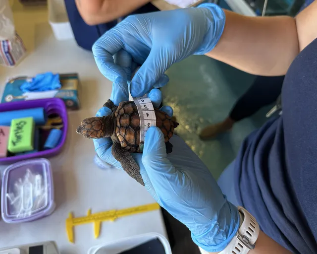 Meet The Two Oceans Aquarium Road Trip Team Along The Garden Route This February