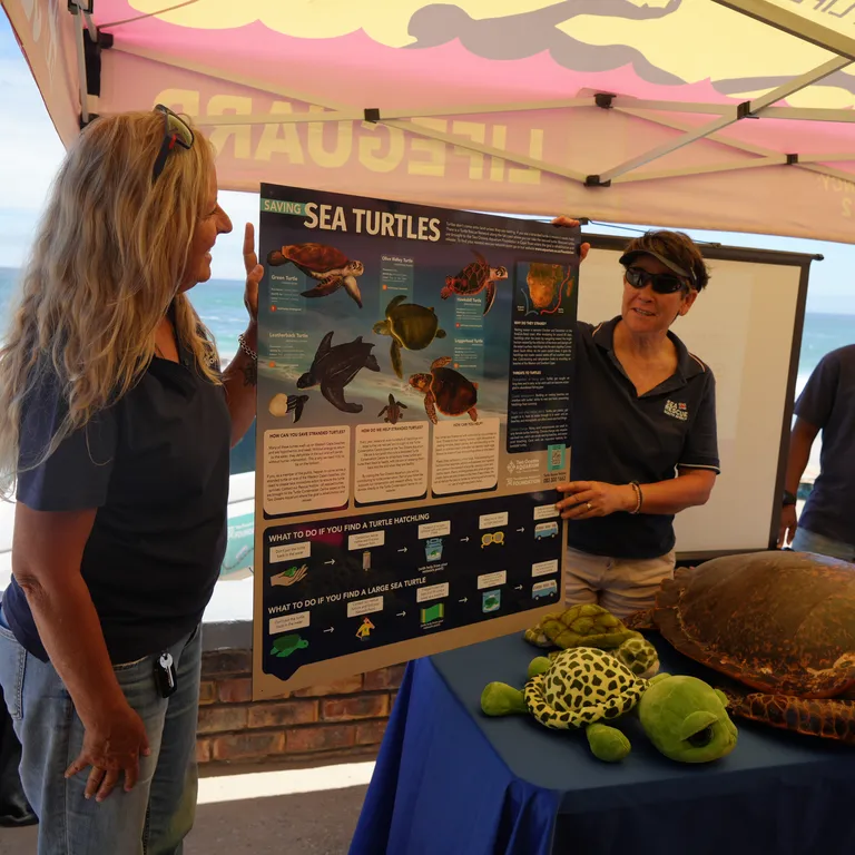 Meet our Turtle Road Trip team along the Garden Route this February