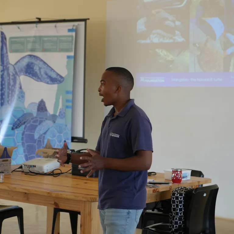 Meet our Turtle Road Trip team along the Garden Route this February