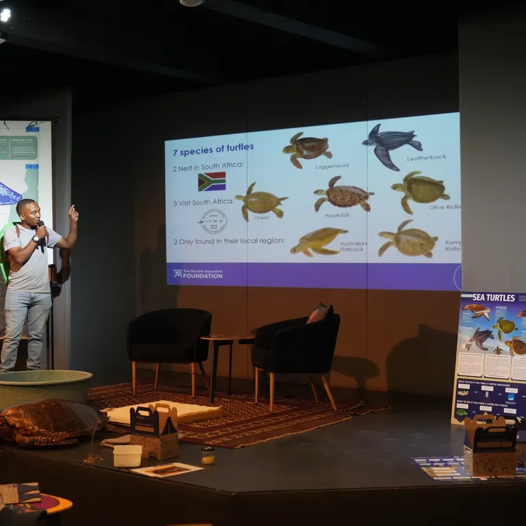 Meet our Turtle Road Trip team along the Garden Route this February