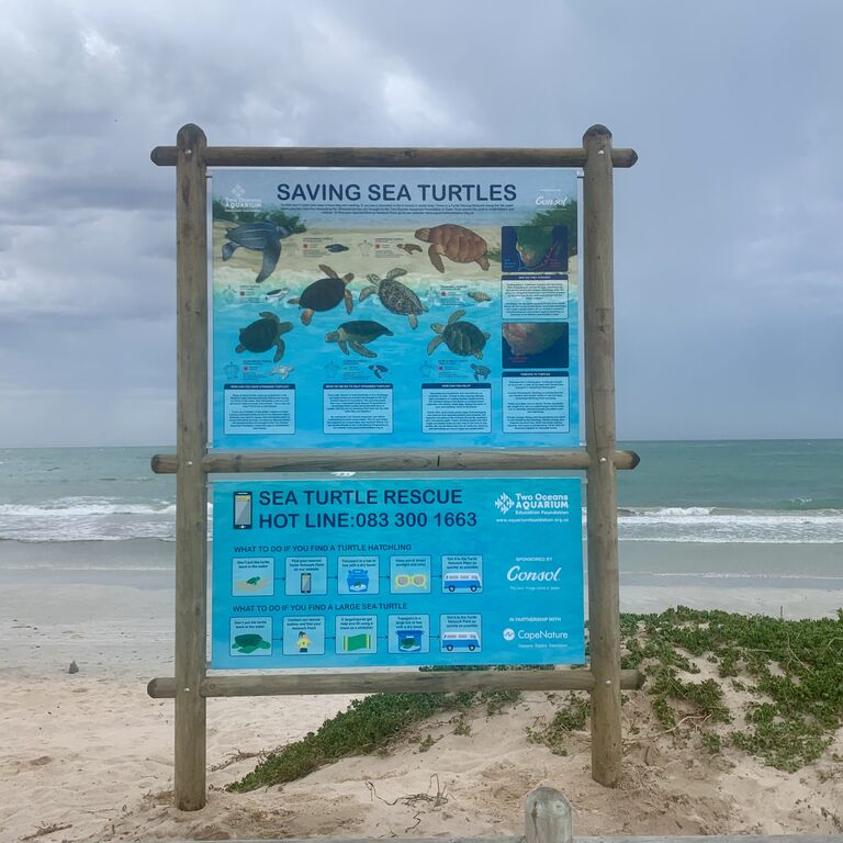 Meet The Two Oceans Aquarium Road Trip Team Along The Garden Route This February